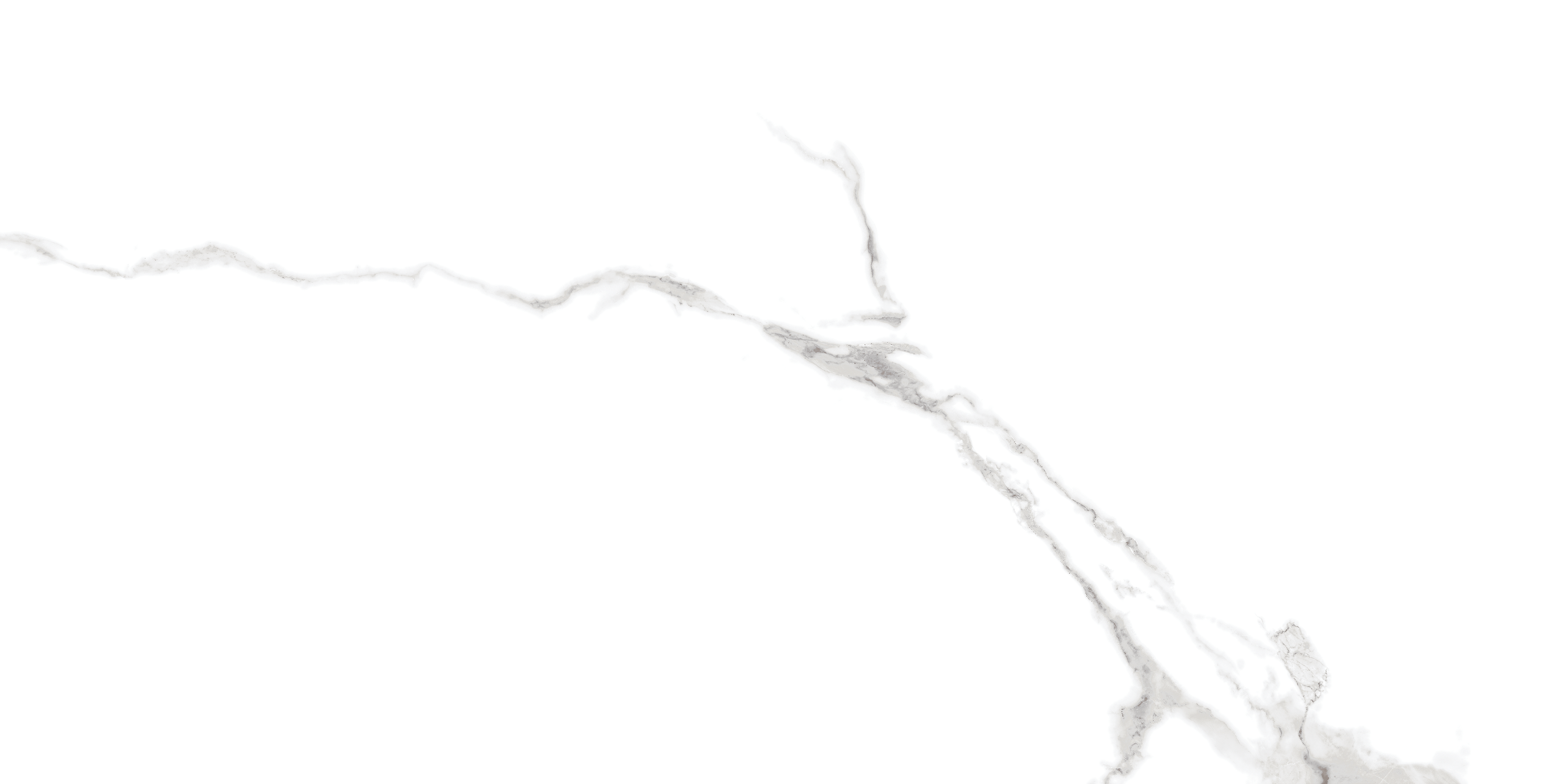 STATUARIO 60x120 cm