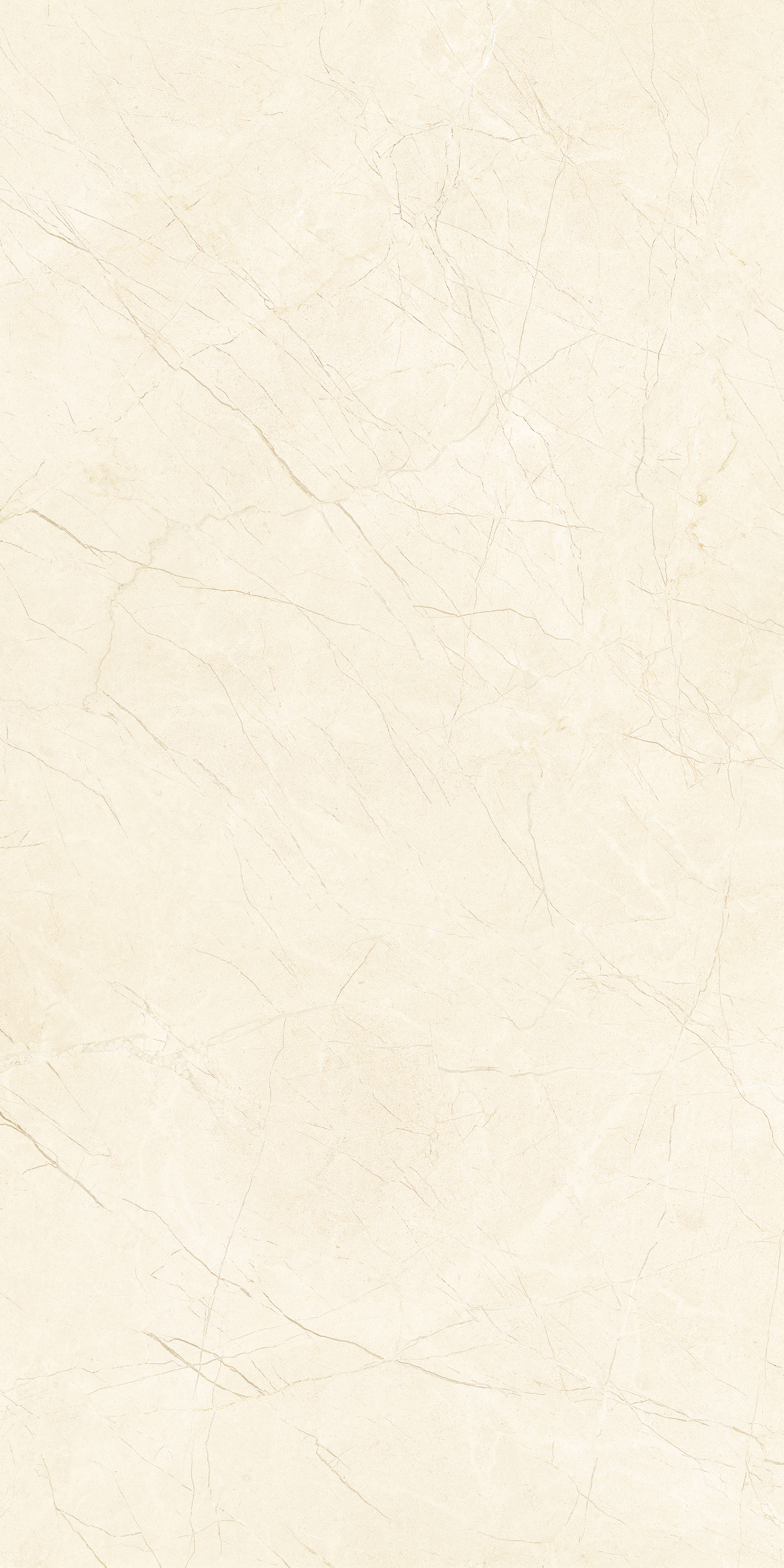 MOOD IVORY poliert 60x120 cm