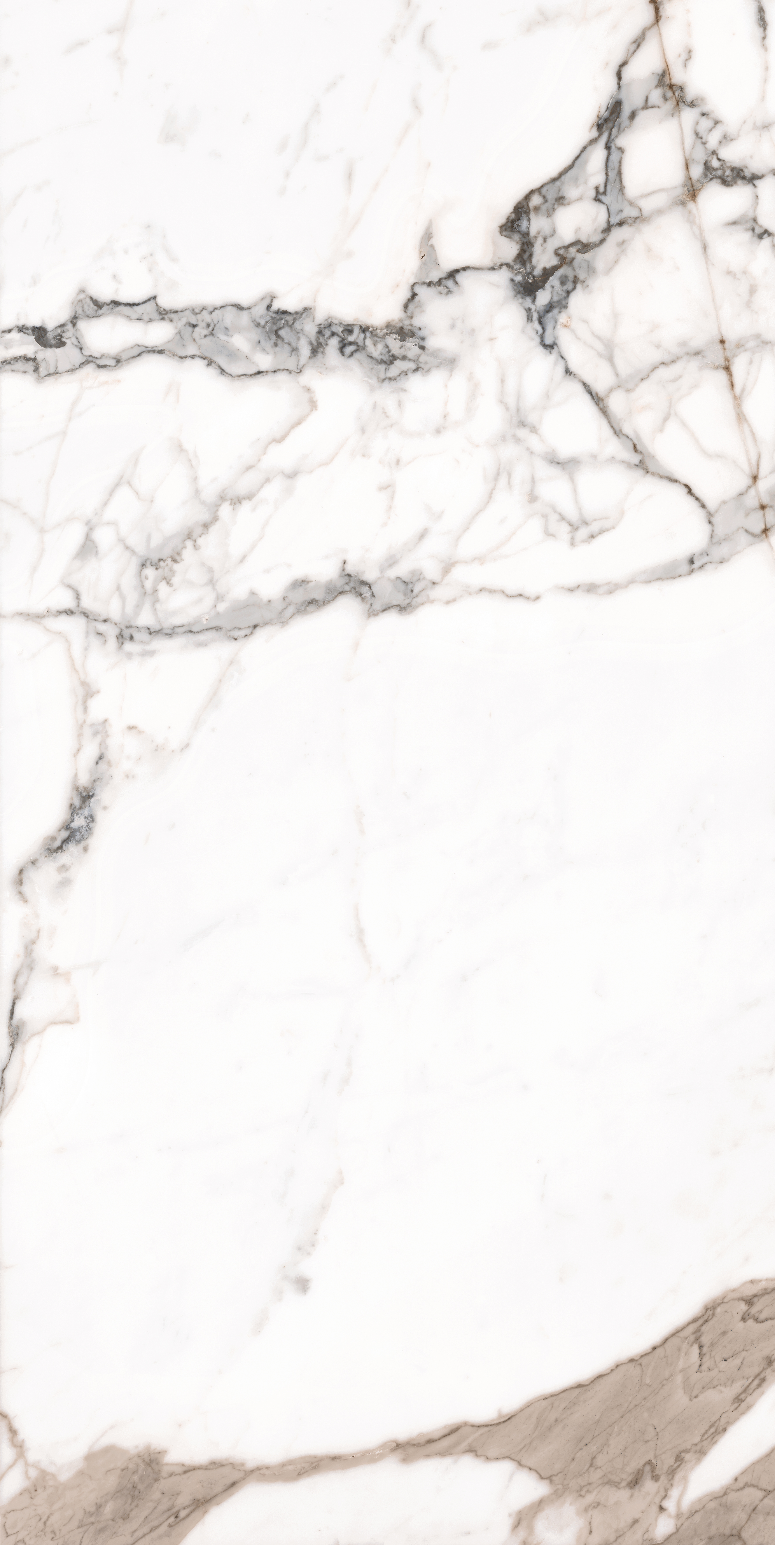 PAONAZZO poliert 60x120 cm