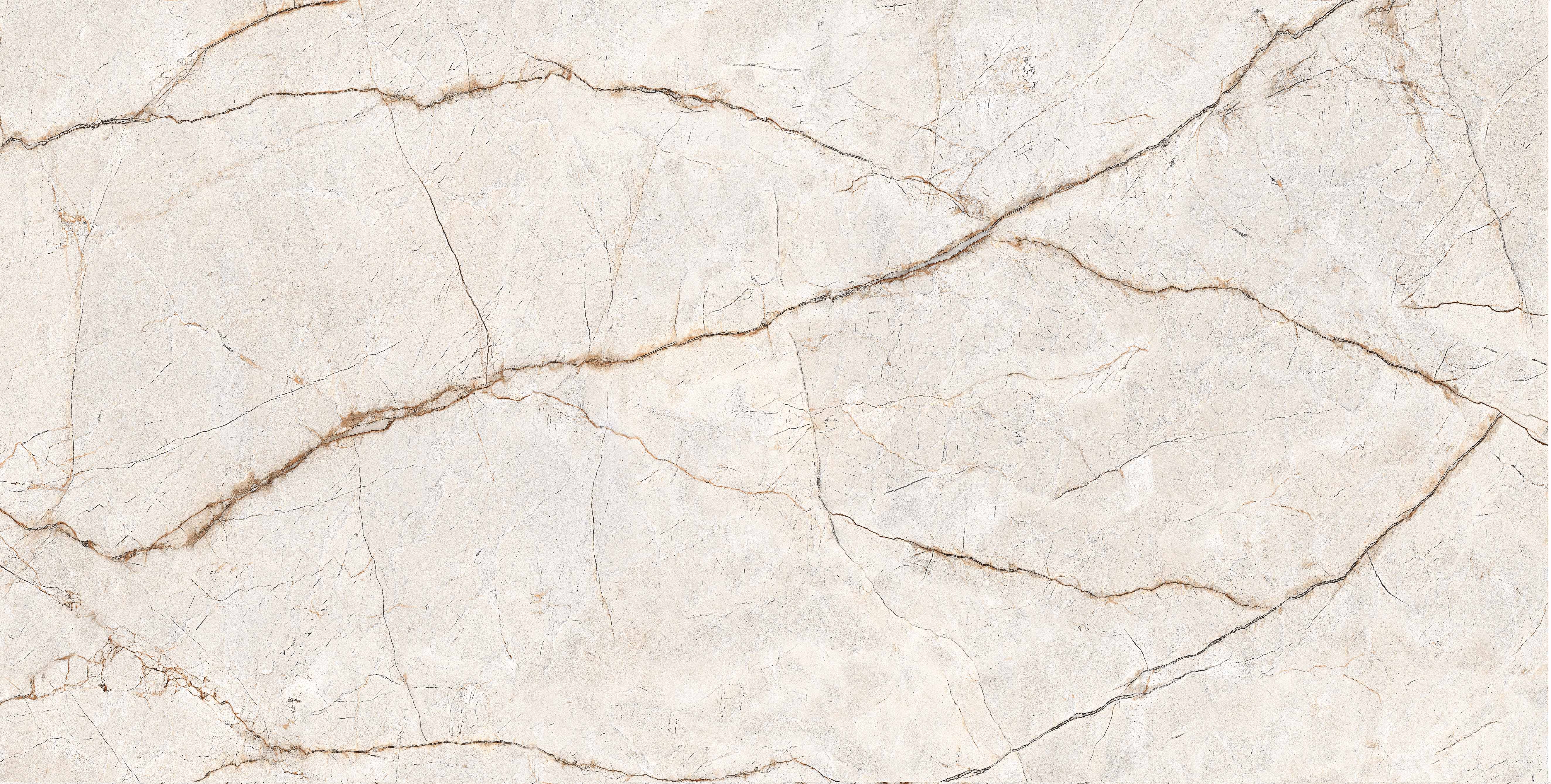 RADICE poliert 60x120 cm